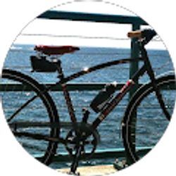 Profile photo of Todd Liberman