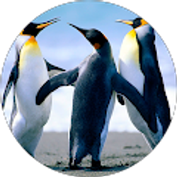 Profile photo of Samuel Orozco