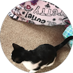 Profile photo of Valencia Cole