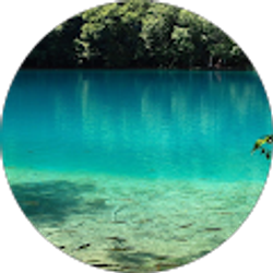 Profile photo of Kenny Ngo