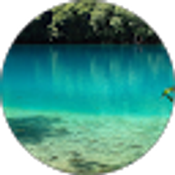 Profile photo of Kenny Ngo