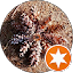 Profile photo of FATIMA PASHALIEVA ORAL