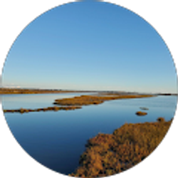 Profile photo of Julia Berrey