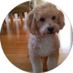 Profile photo of Claudia Devere