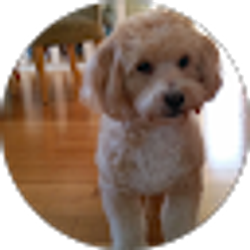 Profile photo of Claudia Devere