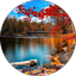 Profile photo of S C