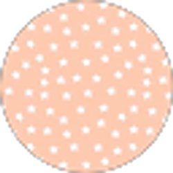 Profile photo of Ana Zlojutro