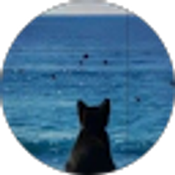 Profile photo of Michelle