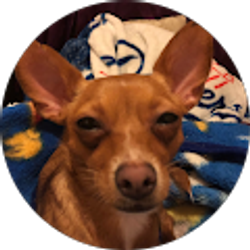 Profile photo of Cristian Flores