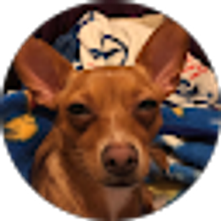 Profile photo of Cristian Flores