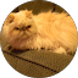 Profile photo of LU1DA1MI L