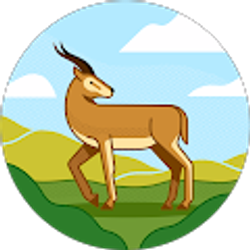 Profile photo of Li Zhang