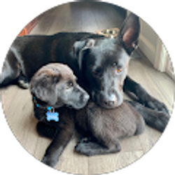 Profile photo of Mia Ruppel