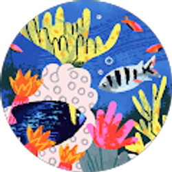 Profile photo of Rifle