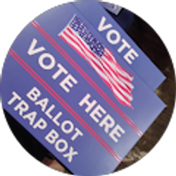 Profile photo of Noah