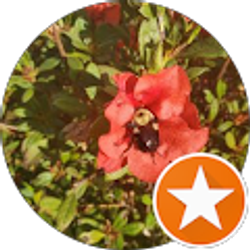 Profile photo of Faith C