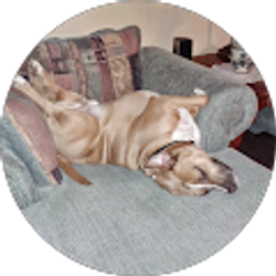 Profile photo of Beverly Brabham