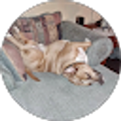 Profile photo of Beverly Brabham