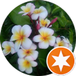 Profile photo of Jacki Swarthout