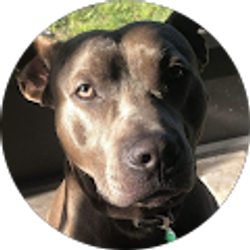 Profile photo of Meghan Gailey