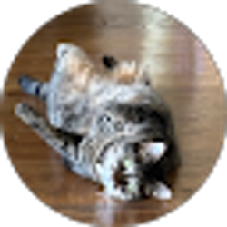 Profile photo of Philip