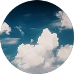 Profile photo of Guy Pallone