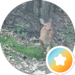 Profile photo of K Aubin