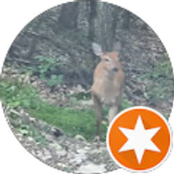 Profile photo of K Aubin