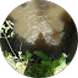 Profile photo of Jadon Baldwin