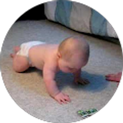 Profile photo of Erin Floyd