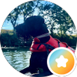 Profile photo of Peter Lee