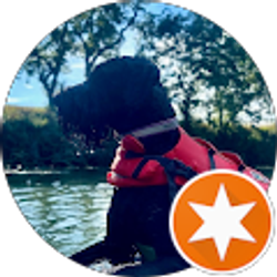 Profile photo of Peter Lee