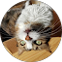 Profile photo of Desireè