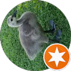 Profile photo of Deborah Young