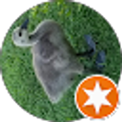 Profile photo of Deborah Young