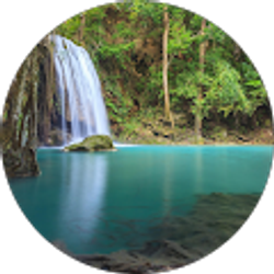 Profile photo of Heather Harvey