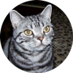 Profile photo of Karen Jean