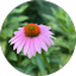 Profile photo of David Breitenfeld