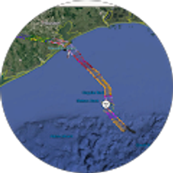 Profile photo of Ricardo Macedo