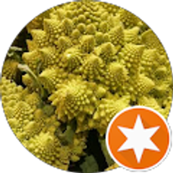 Profile photo of Ben