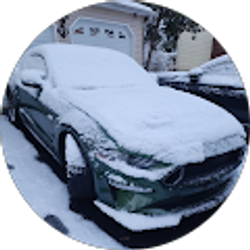 Profile photo of Sherry Sheikh