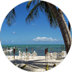 Profile photo of Elizabeth Seymour