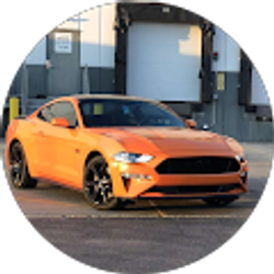 Profile photo of Din Miftari