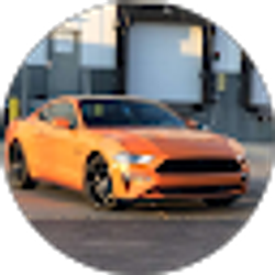 Profile photo of Din Miftari