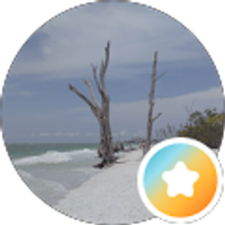 Profile photo of Shannon Oram