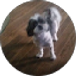 Profile photo of Kelly Deleon
