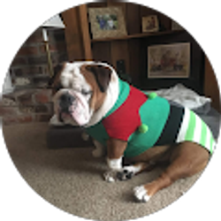 Profile photo of Garnet Ramey