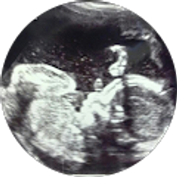 Profile photo of Lilly Zepeda