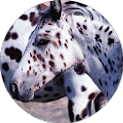 Profile photo of Jill Smith