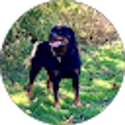 Profile photo of Jacob Clay